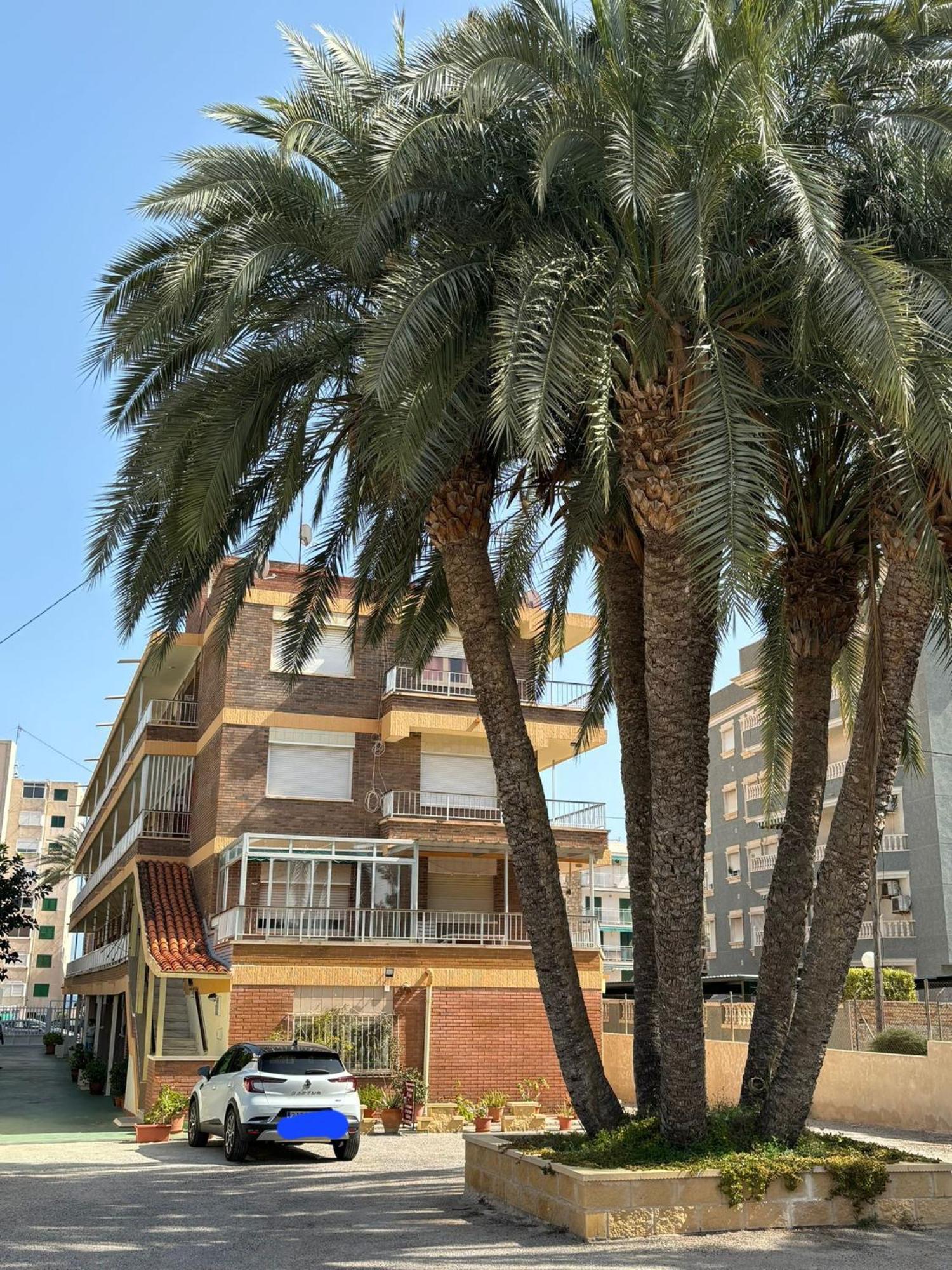 Apartamentos Congo El Campello Buitenkant foto
